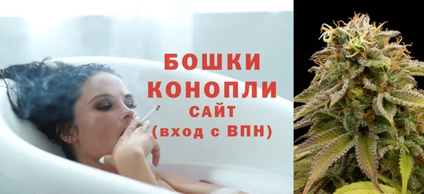 стаф Арсеньев