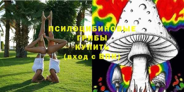 стаф Арсеньев