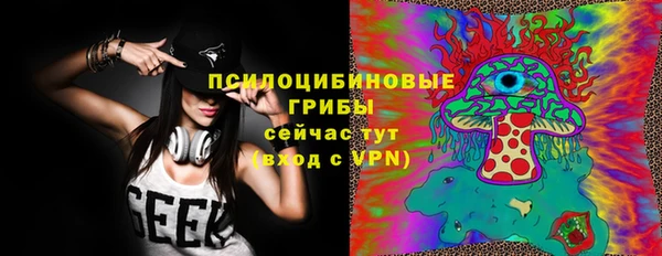 стаф Арсеньев