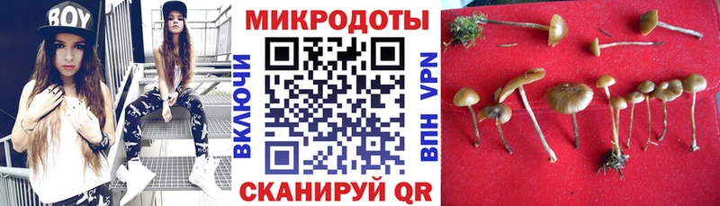 где продают   Островной  Псилоцибиновые грибы ЛСД 